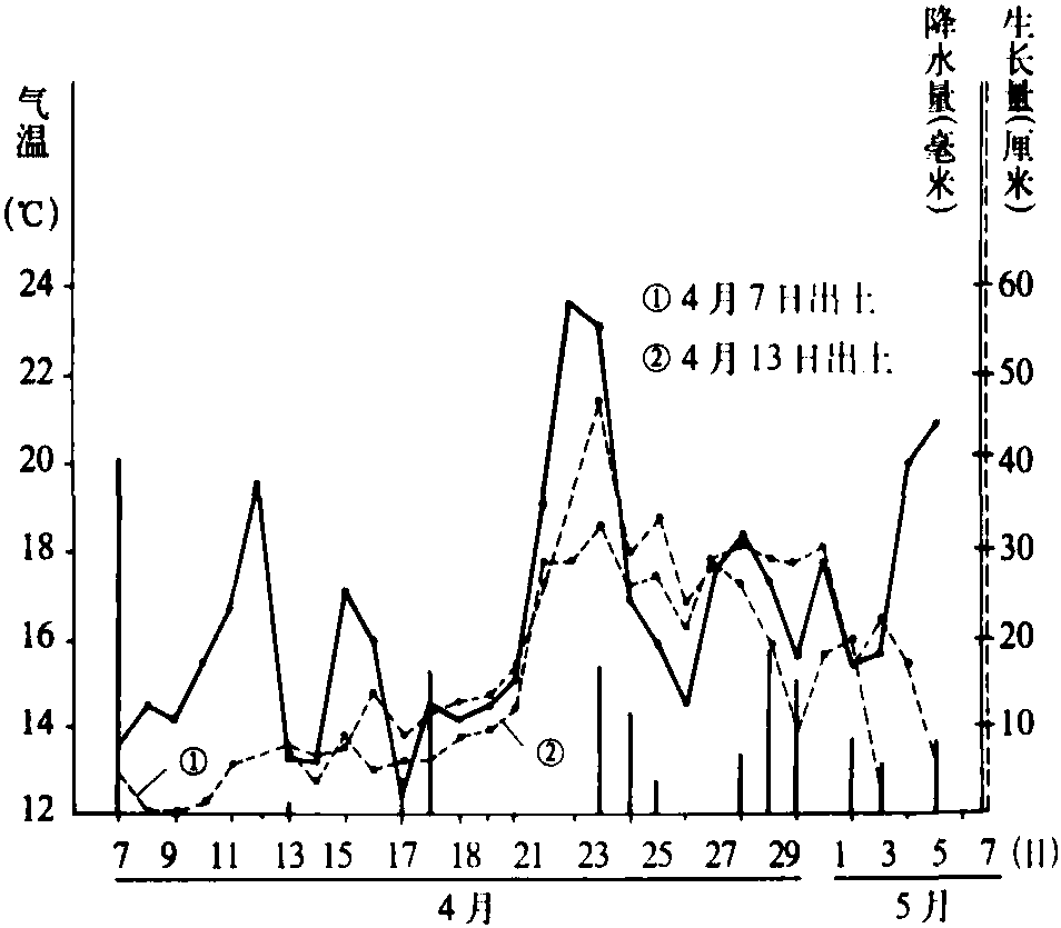 二、竹林生長與環(huán)境